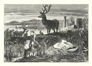 Decay of Earthly Pomp (engraving)