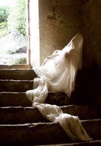 Homage to Light