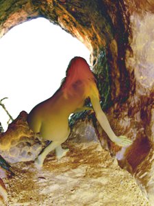 In the Cave