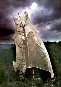 Storm