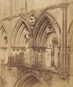 Rivaulx Abbey. The Triforium Arches by Joseph Cundall