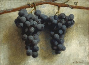 Grapes, c.1890-1895 by Joseph Decker
