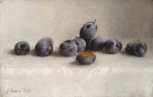 Twelve Plums by Joseph Decker