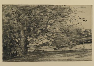 Study of Trees, 1870 by Joseph Frank Currier