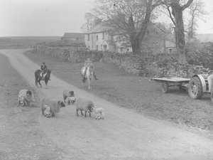 A view of sheep, lambs, two children on ponies, tractor, trailer, and building by Joseph Hardman