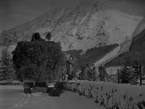 Lorry filled with Christmas trees making its way down a snowy road by Joseph Hardman
