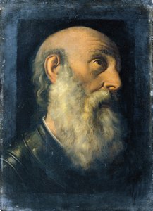 Study Head of an Apostle