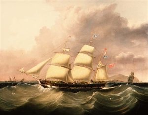 The Barque 