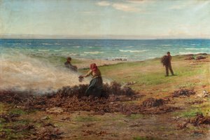 Kelp Burning
