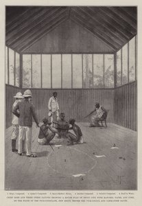 The Benin Expedition by Joseph Holland Tringham