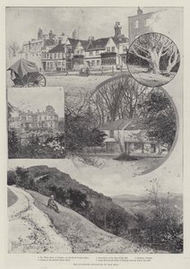 The Suggested Enclosure of Box Hill