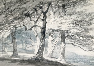 Norbury Park, Surrey by Joseph Mallord William (attr.to) Turner