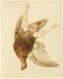 Grouse, from The Farnley Book of Birds by Joseph Mallord William Turner