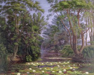 River Cherwell Waterlilies, 1851
