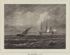 Turner