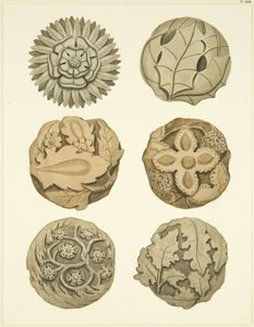 Groin Stones (Bosses) in Ceiling of Redcliffe Church