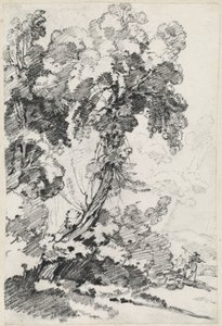 A Towering Tree with Travelers