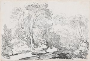 Trees