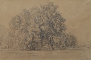 Birch Group in the Park of Seebenstein Castle in Lower Austria by Joseph Martin Höger