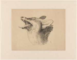 Head of a Fox by Joseph Mendes da Costa