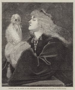 Fluffy by Joseph Middleton Jopling