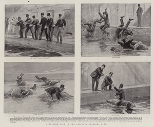 A Mussuck Race in the Calcutta Swimming Bath
