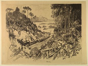 The Jungle: The Old Railroad from the New