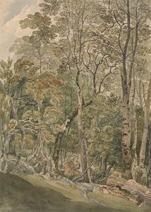 In Rydal Park by Joseph Powell