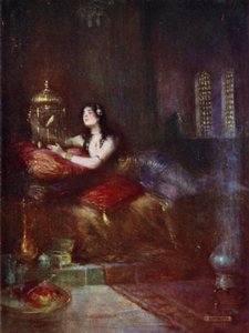 The Sultana and Her Canary by Joseph Ratcliffe Skelton