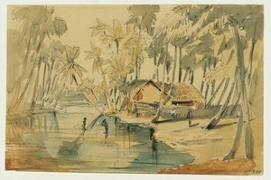 Palm Grove in Ceylon (Sri Lanka)