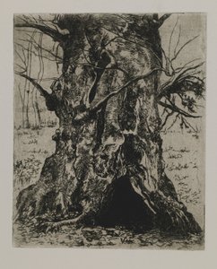 Untitled--Tree Trunk by Joseph Stella