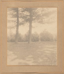 Landscape with Trees by Joseph T. Keiley