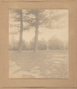 Landscape with Trees by Joseph T. Keiley