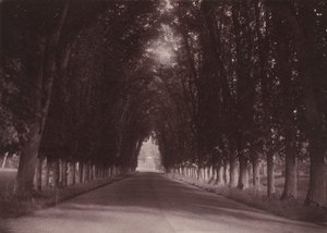 Allée, Château de Grand-Vaux, Savigny-sur-Orge, the Family Home of Vigier, c. 1855 by Joseph Vigier