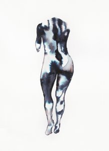 Fluid Body Study