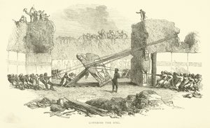 Lowering the bull