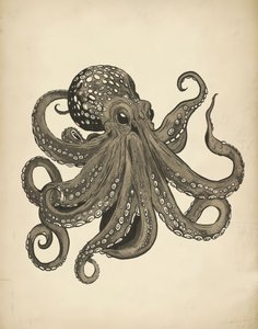 Elegant Vintage Octopus by Josie George