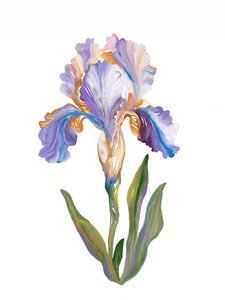Vibrant Painterly Iris by Josie George