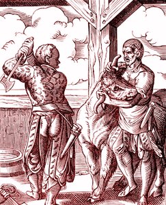 A Butcher - Food and Cooking in the Middle Ages. Engraving by Jost Amman (1539-1591). Engraving 1878 by Jost (after) Amman