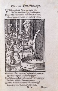 Oil Maker, illustration from the Latin edition of 