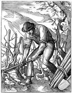 Winemaker, 16th century, 1849 by Jost Amman