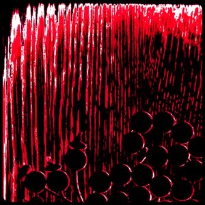 Red Prayer Beads, from the series Misbaha