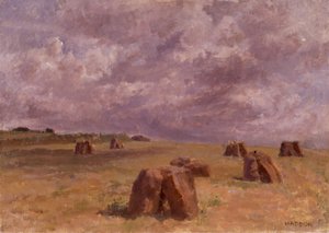 Plain Rocks by Joyce Haddon