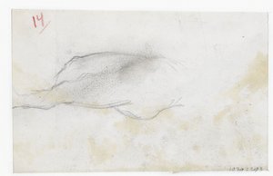 Sketch of a Landscape