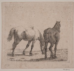 Two Horses