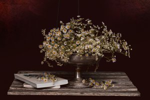 Chamomile and Old Books by Juan Antonio Palacios