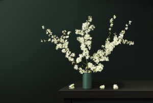 Fresh Spring Blossoms by Juan Antonio Palacios
