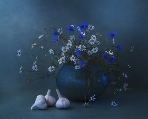 Blue Daisy Garlic Still Life