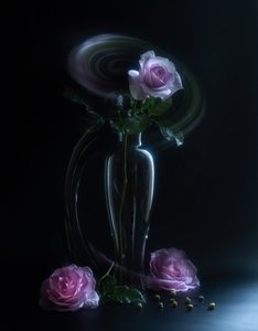 Ethereal Rose Vase by Judy Tseng