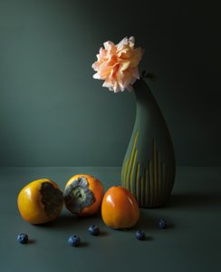 Moody Persimmons and Rose